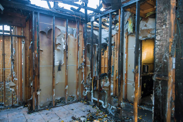 Professional Odor Removal technician working in Grand Rapids, MI